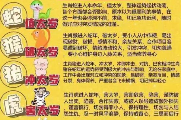属什么生肖:生肖运势揭秘 属什么生肖:生肖运势揭秘