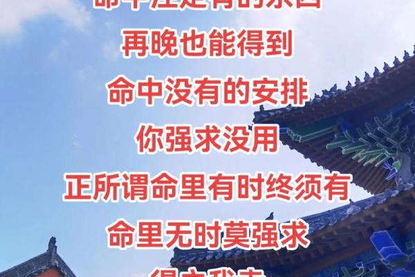 什么是喜命及其对命运的深远影响 什么是喜命及其对命运的深远影响