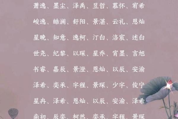 如何为男孩起个带辰字的名字，寓意深远
