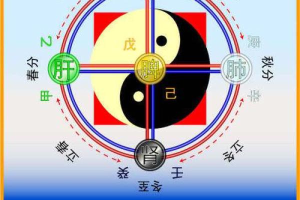通过五行调和冰箱,提升家居风水与能量 通过五行调和冰箱,提升家居风水与能量