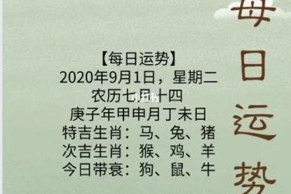 生肖猪今日运势解析:财运、感情与健康全方位分析 生肖猪今日运势解析:财运、感情与健康全方位分析