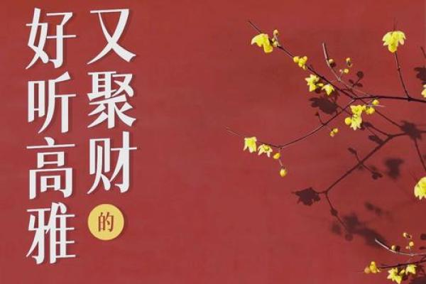 如何为硅公司起个独特且具吸引力的名字 如何为硅公司起个独特且具吸引力的名字