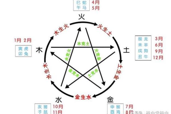 深入探讨金木水火土命与五行运势的关系 深入探讨金木水火土命与五行运势的关系