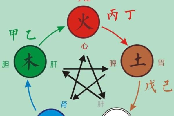 深入探讨金木水火土命与五行运势的关系 深入探讨金木水火土命与五行运势的关系