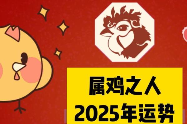 属鸡解析男士的运势变化 属鸡解析男士的运势变化