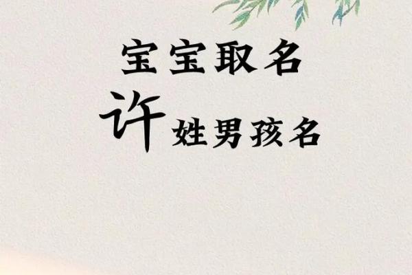 许姓女孩取名的独特技巧与创意推荐