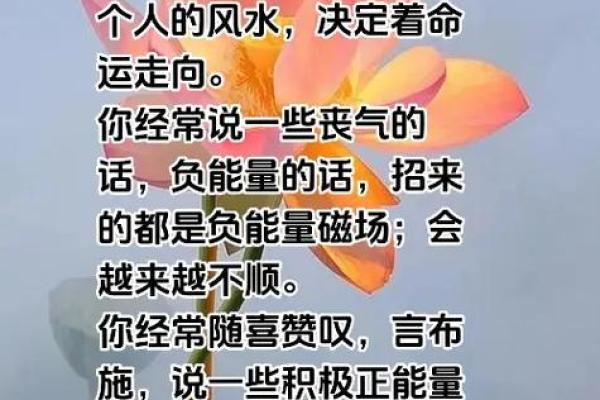 tim的今日运势:积极能量还是需要小心谨慎? tim的今日运势:积极能量还是需要小心谨慎?