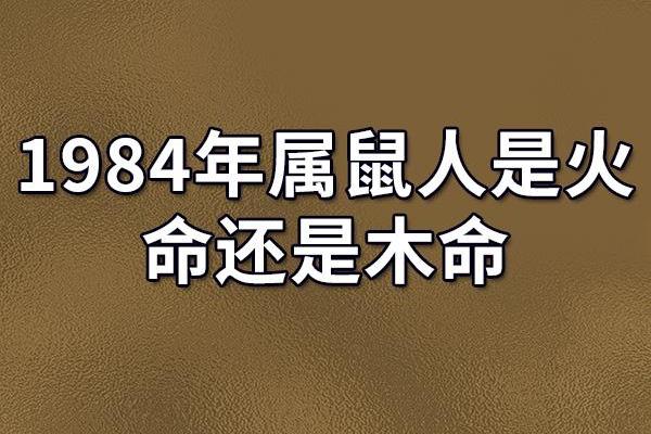 出生的人属鼠的特点和命运解析 出生的人属鼠的特点和命运解析