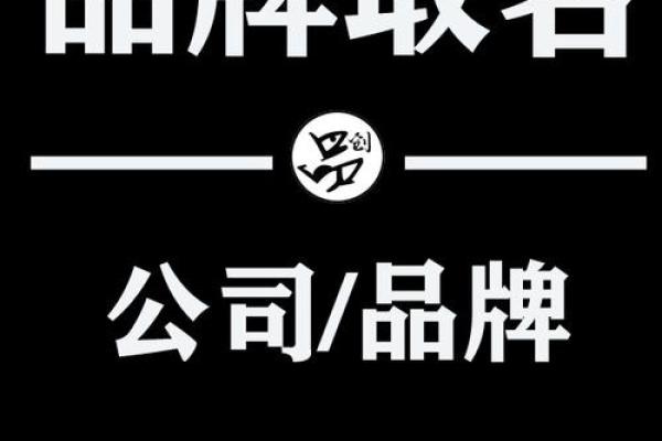 专业起名公司助您打造独一无二的品牌形象 专业起名公司助您打造独一无二的品牌形象