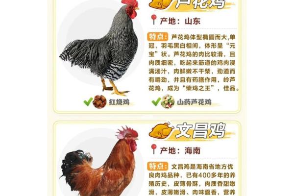 鸡宝宝起名指南：从传统到现代的名字选择