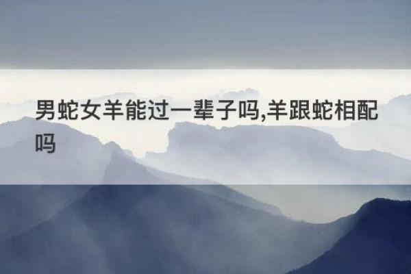 龙与蛇的缘分分析:适合相配的性格与契合度 龙与蛇的缘分分析:适合相配的性格与契合度
