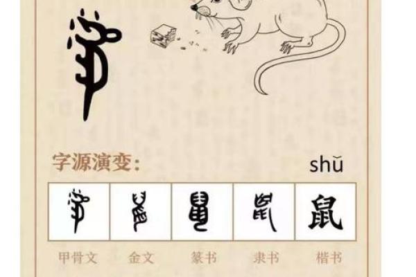 如何为鼠年宝宝起名：五个关键原则