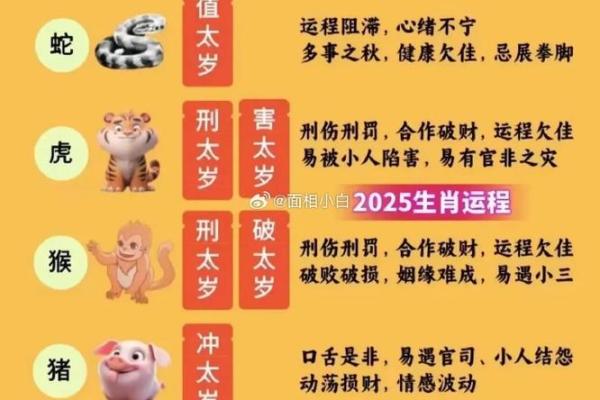 了解卯字背后的生肖意义 了解卯字背后的生肖意义