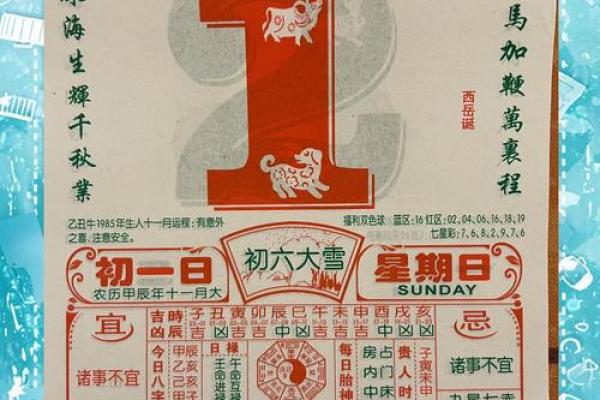 属猪宝宝运势走势与生活建议 属猪宝宝运势走势与生活建议