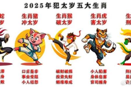 辰龙与丑牛的相配解析：性格与命运的契合与挑战