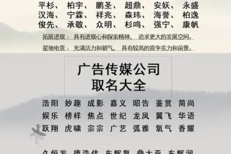 选择合适的公司起名软件提升品牌创意和竞争力