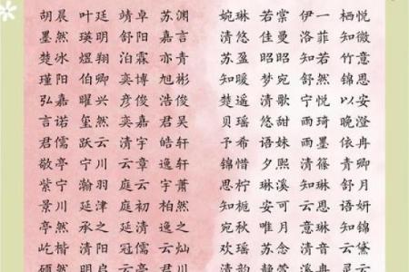 全国最具韵味的名字精选 给你的孩子带来好运