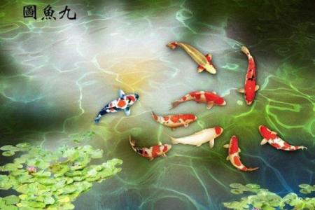 箭牌家居风水技巧：让家居更加吉祥如意