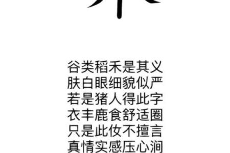 禾字旁名字的历史渊源与现代应用