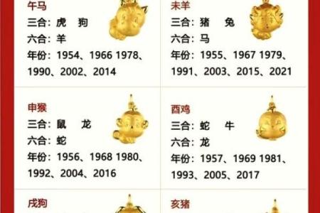 探索肖配对：哪些组合天作之合