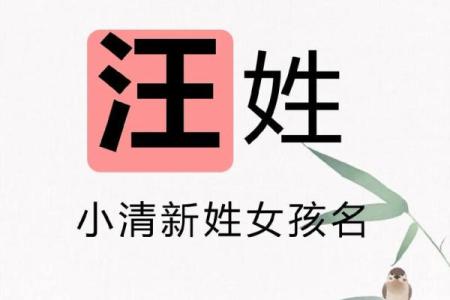 汪姓宝宝起名推荐：寓意深远又独特的名字选择技巧
