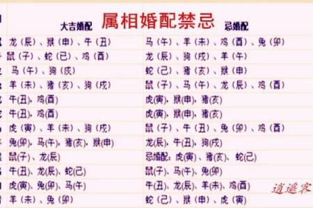 生肖婚姻配对：哪些生肖组合注定幸福美满