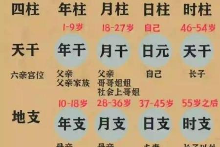 了解右命的定义及其在八字中的重要性