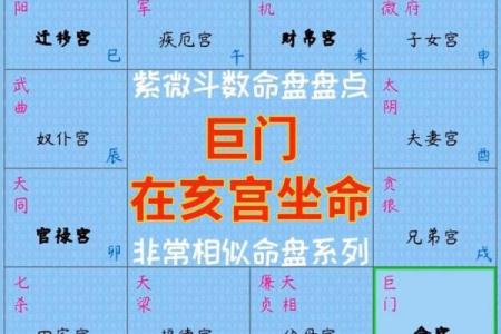 紫微斗数带你看命运走向