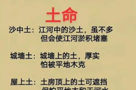 土命属相的特点与命运解析