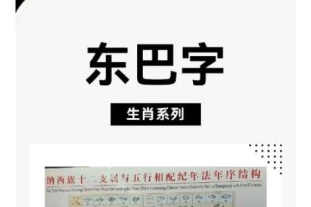 探索生肖图背后的文化象征与深层含义