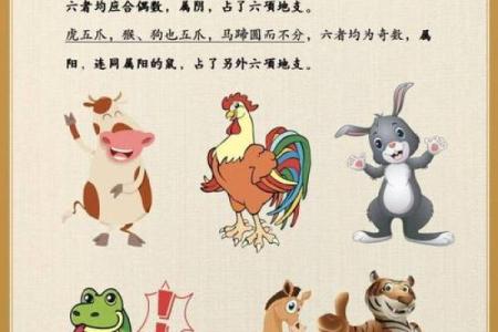 十二生肖的排名顺序揭秘，你是排第几？