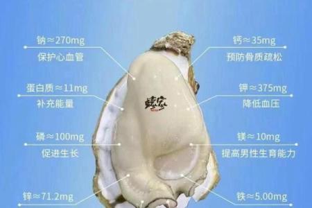 蚝公司起名灵感：独特与创新的关键