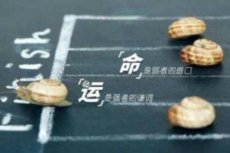 如何通过我是个什么命占卜发现你的未来趋势