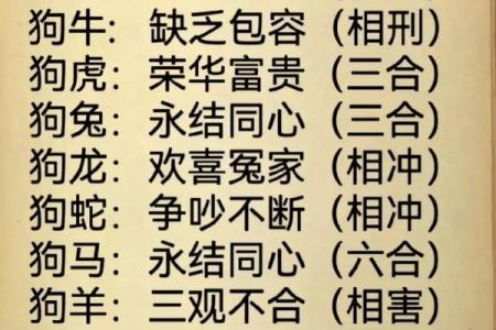 生肖狗与哪几种生肖最合适结婚