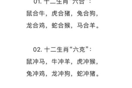 生肖配对解析：龙与蛇的缘分是否注定
