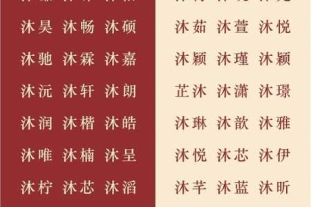 如何选用福字起名为公司注入好运气