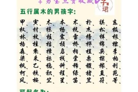 宝宝免费起名字网带你快速找到完美名字
