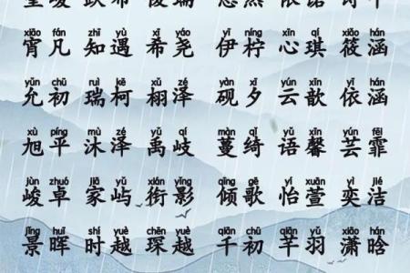 出生男宝宝名字大全与命名技巧