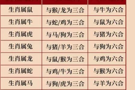 六合命的来源与特点详解