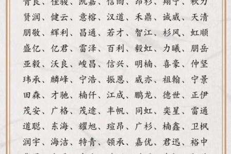 如何为网络公司起个大气又独特的名字