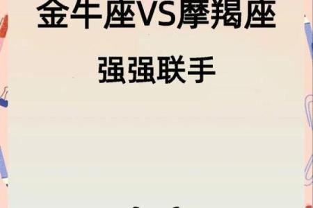 摩羯座与属猪的人缘分深浅如何