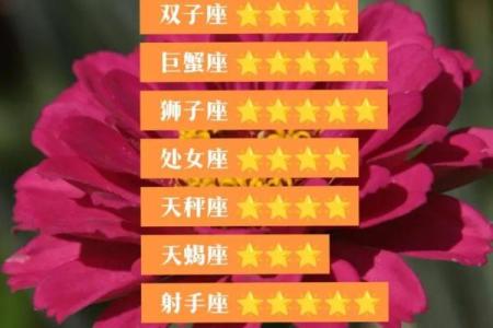 今日tim星座运势预测：面对挑战如何应对？
