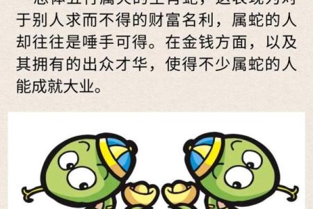 虎属相最佳配对，哪些生肖能与之相得益彰