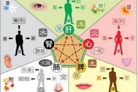 炒股五行的应用与实践：找准属于你的投资方向