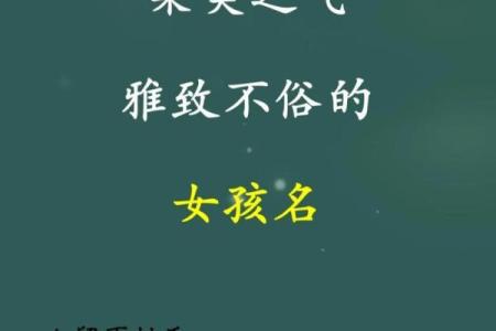 嘉字起名公司：为您定制独特的名字，传递美好寓意