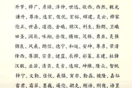 全面了解起名公司查询的重要性与优势