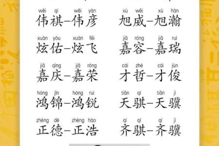 适合双胞胎的诗意名字合集