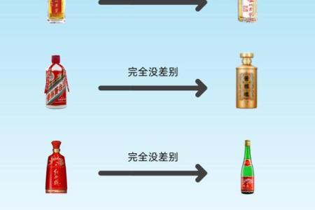 酒的五行属性与不同体质的匹配