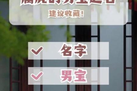 猪宝宝起名指南：为宝宝挑选最合适的名字