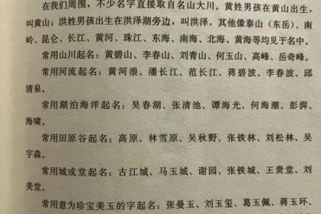 翔字在公司起名中的应用与创意灵感解析